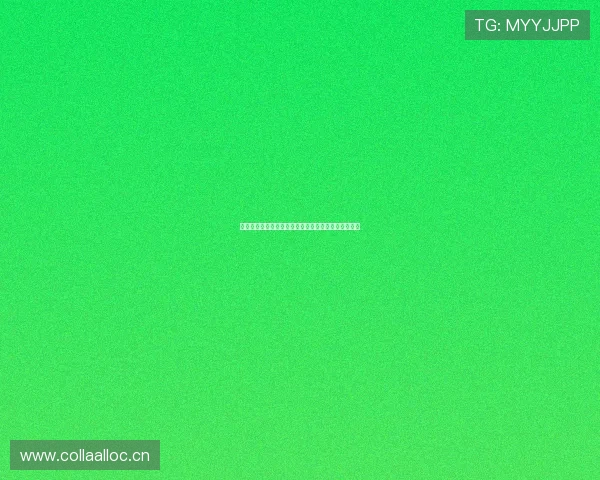 体育女排最新赛事动态全解析直播实况精彩瞬间抢先看